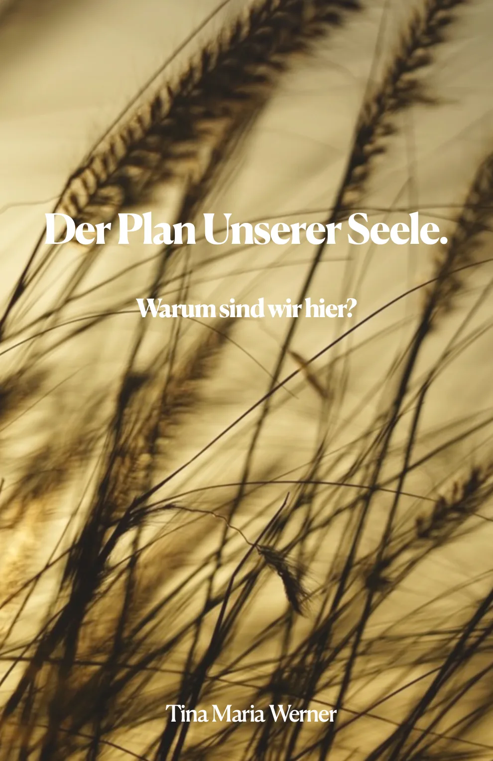 Der Plan unserer Seele